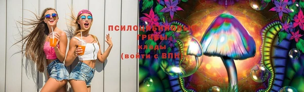 ПСИЛОЦИБИНОВЫЕ ГРИБЫ Абинск